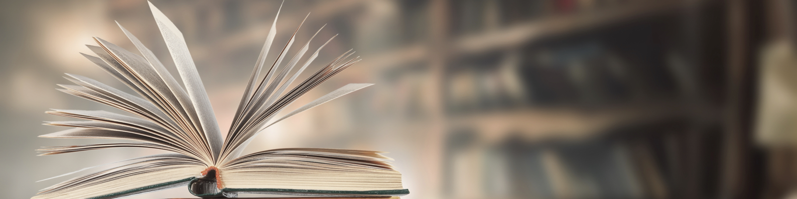 Being a Productive Intellectual | 2025